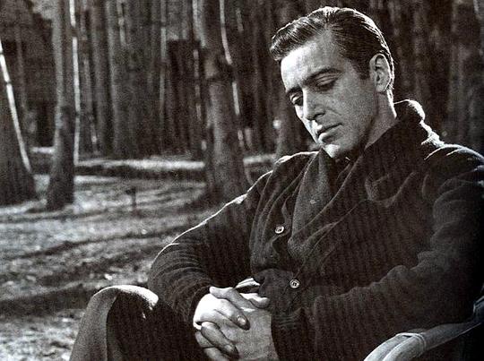 导演将第一代教父维托·克里昂在黑道的发迹与第二代教父麦克·克里昂