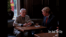 还参演过网红美剧《欲望都市》