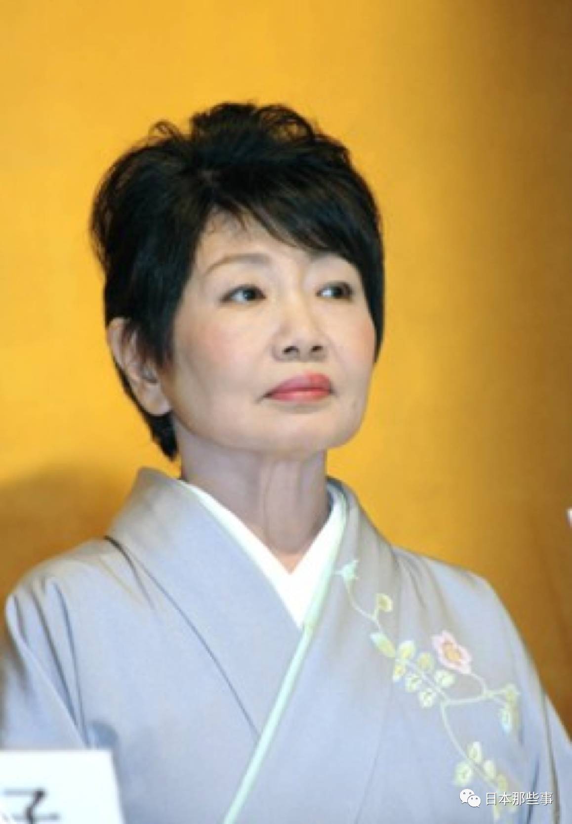 讨厌老戏骨diss小鲜肉 日本观众的口味有点清奇