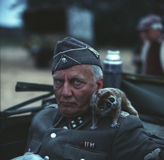 自己去看资料页_娱乐资料库_新浪娱乐_新浪网