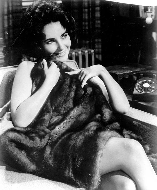 青楼艳妓资料页_娱乐资料库_新浪娱乐_新浪网