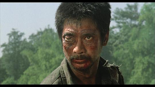 英雄无泪资料页_娱乐资料库_新浪娱乐_新浪网