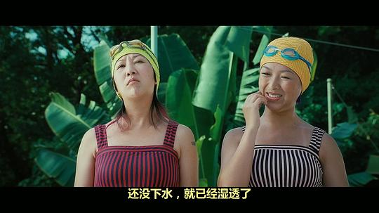 出水芙蓉资料页_娱乐资料库_新浪娱乐_新浪网