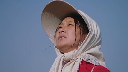 花开时节资料页_娱乐资料库_新浪娱乐_新浪网