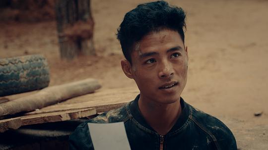 红花绿叶资料页_娱乐资料库_新浪娱乐_新浪网