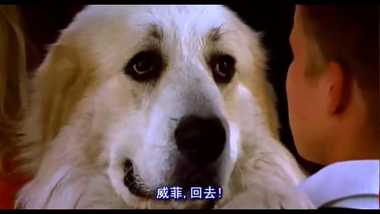 我的宝贝会说话资料页_娱乐资料库_新浪娱乐_新浪网