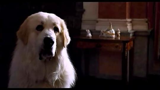 我的宝贝会说话资料页_娱乐资料库_新浪娱乐_新浪网