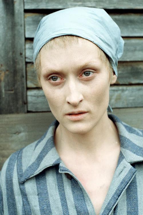 苏菲的抉择资料页_娱乐资料库_新浪娱乐_新浪网