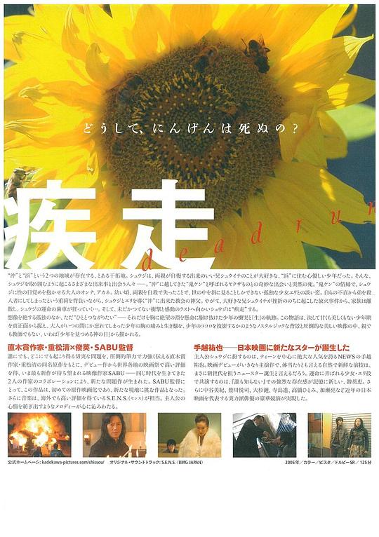 疾走资料页 娱乐资料库 新浪娱乐 新浪网