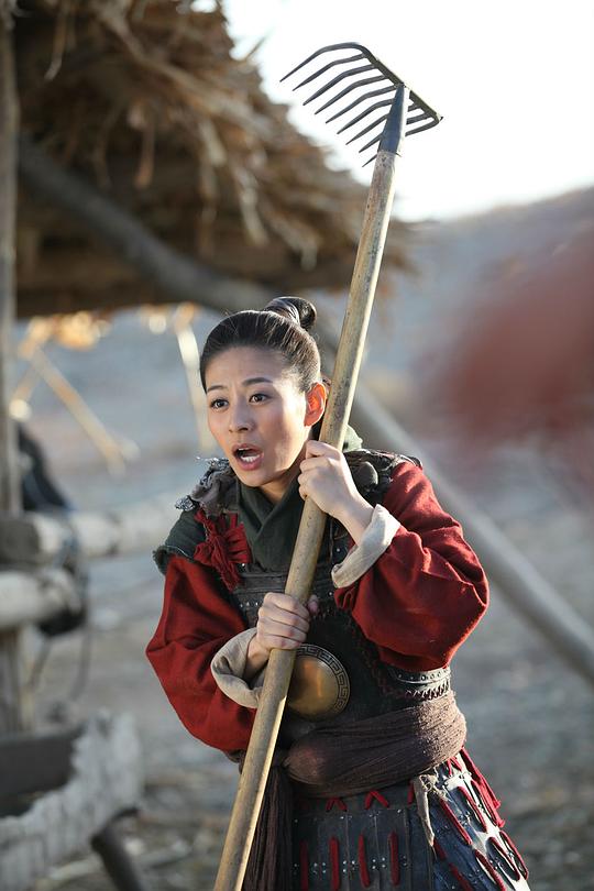 巾帼大将军资料页_娱乐资料库_新浪娱乐_新浪网