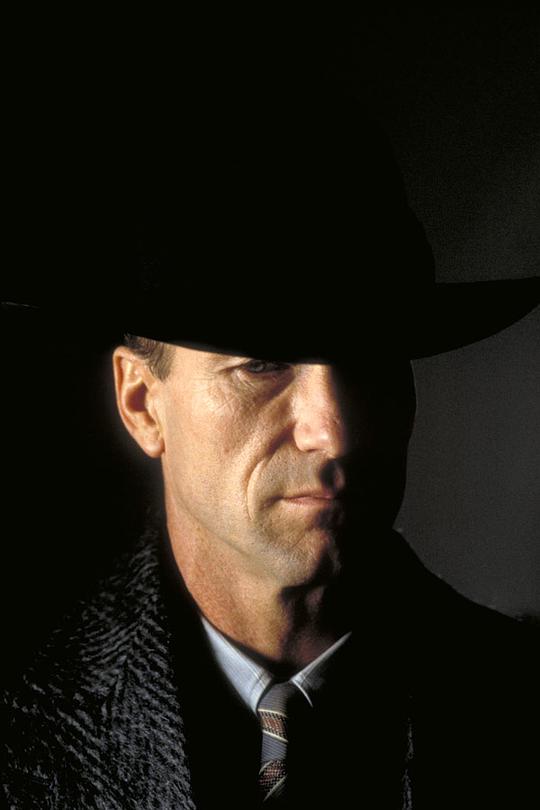 极光追杀令资料页_娱乐资料库_新浪娱乐_新浪网