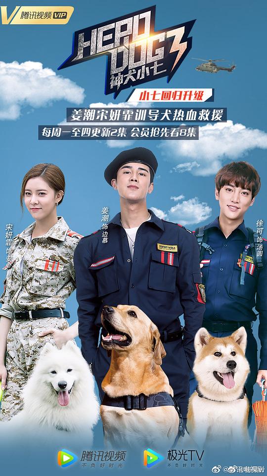 神犬小七3资料页_娱乐资料库_新浪娱乐_新浪网