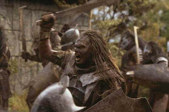 指环王:护戒使者资料页_娱乐资料库_新浪娱乐_新浪网