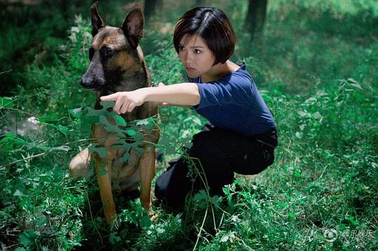 聚焦军旅中的"人犬情",围绕一群军旅战士和他们骁勇善战的军犬而展开