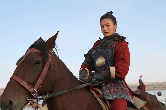 巾帼大将军资料页_娱乐资料库_新浪娱乐_新浪网