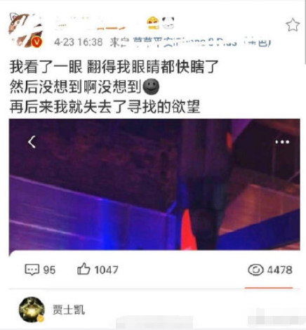 贾士凯点赞网友截图