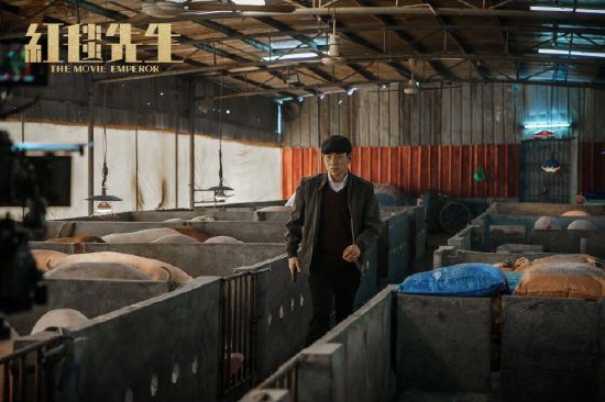 2025东南大学在河北录取分数线点评：优势专业与报考参考v6.9.6 官方安卓版
