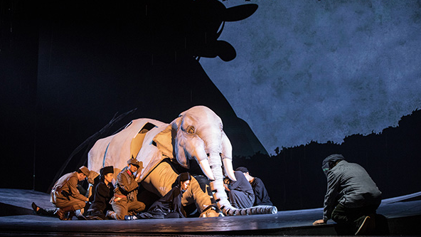 《最后一头战象》剧照