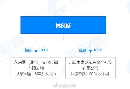 林凤娇全资持股公司