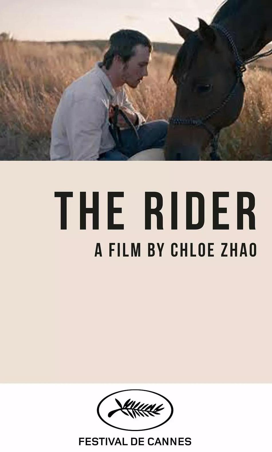 骑士资料页_娱乐资料库_新浪娱乐_新浪网