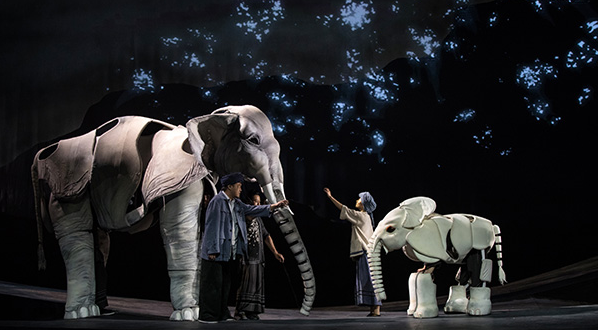 《最后一头战象》剧照