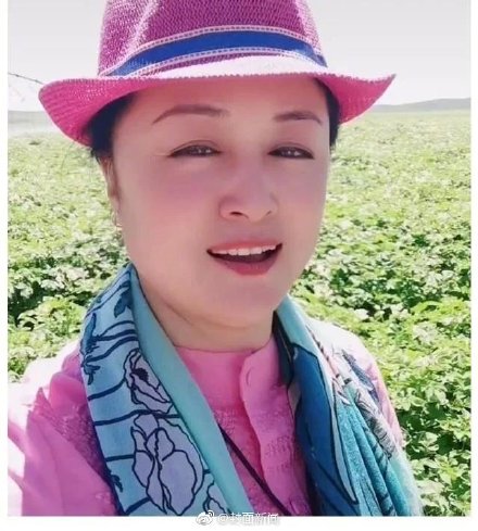  Yu Yuexian took photos of picking mushrooms on the grassland on August 4 