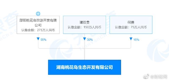 该公司的股权穿透图