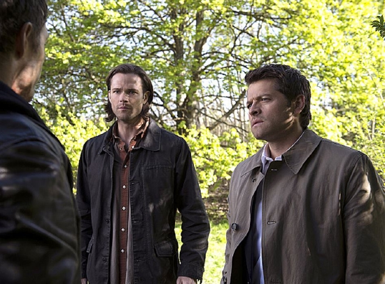 米沙克林斯发文否认自己是双性恋之前是误会