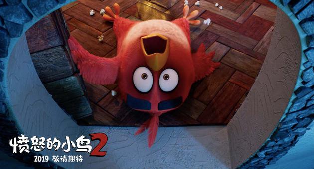 不速之客突袭胖红