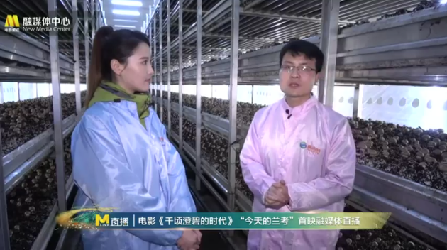 主持人李丹走访兰考食用菌产业
