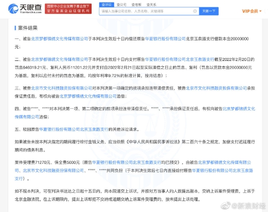 案件结果