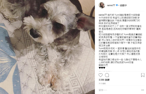 杨丞琳爱犬Yumi确诊罹患肥大细胞瘤