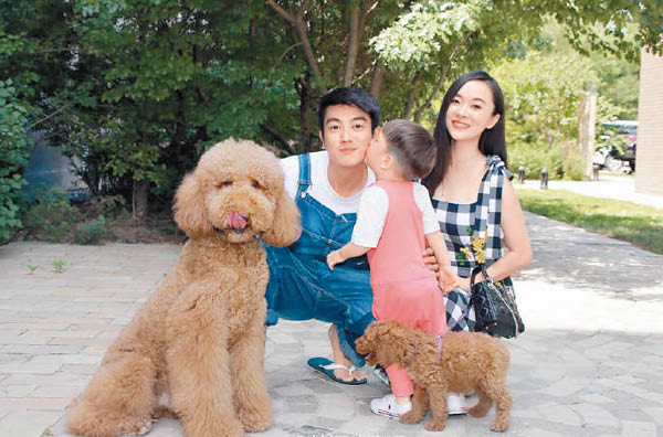 骆驼是巨型贵妇狗，它是杜江与霍思燕的“红娘”。