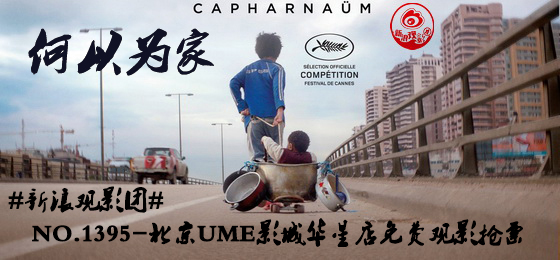 电影《何以为家》海报