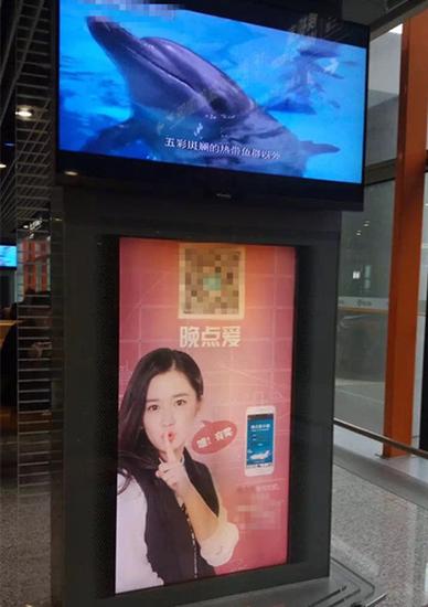 网友偶遇“石安妮”