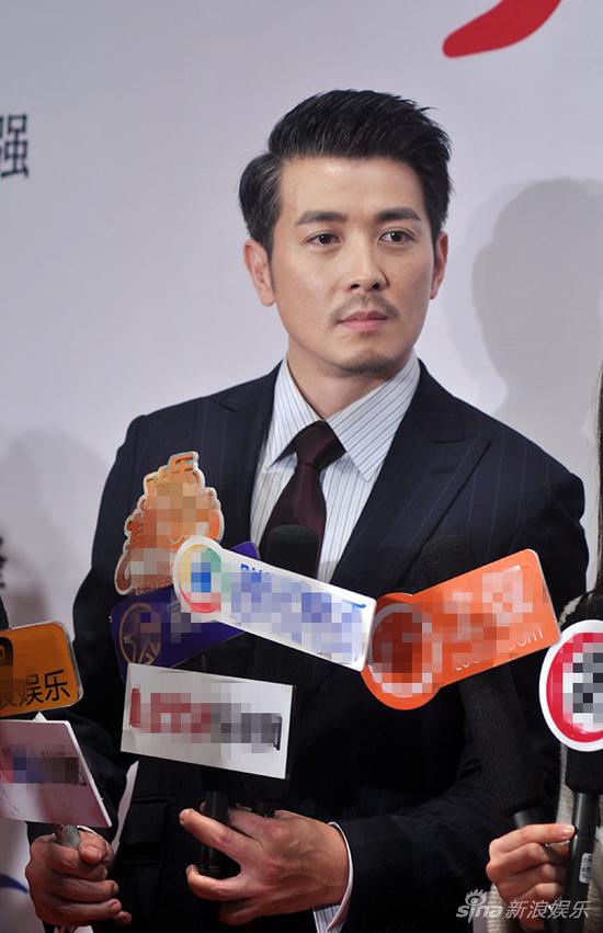 保剑锋接受采访