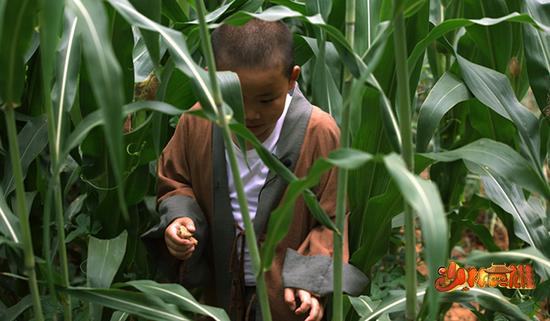 释小乐去别人的菜地里偷偷拿菜