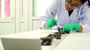 丝织品修复组的工作人员清洗长春宫的宫灯穗。