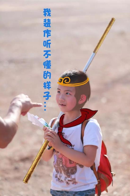 康康爬树康辉的腮帮子曾被网友调侃康辉的腮帮子曾被网友调侃