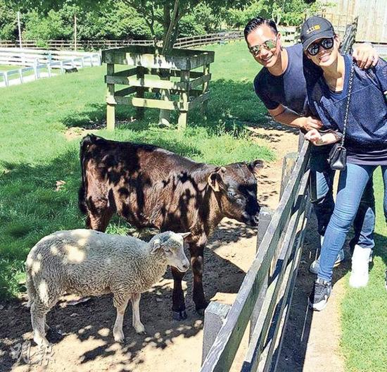 胡杏儿与李乘德在农场跟牛羊合照。