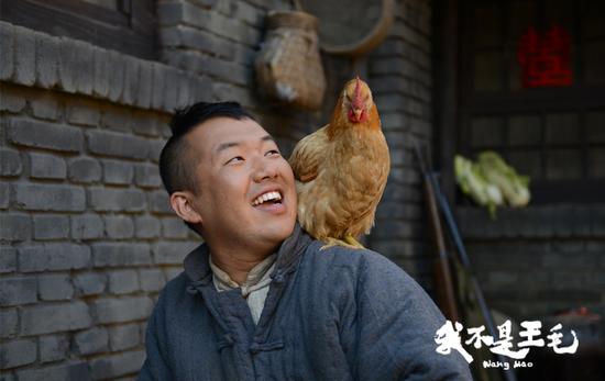 王毛斗鸡