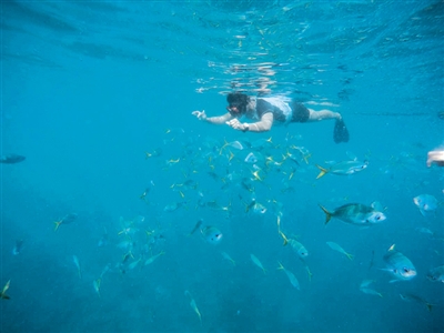 秃驴退役后的生活乐趣变成了潜水