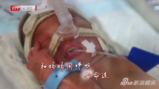 和妈妈同呼吸共命运