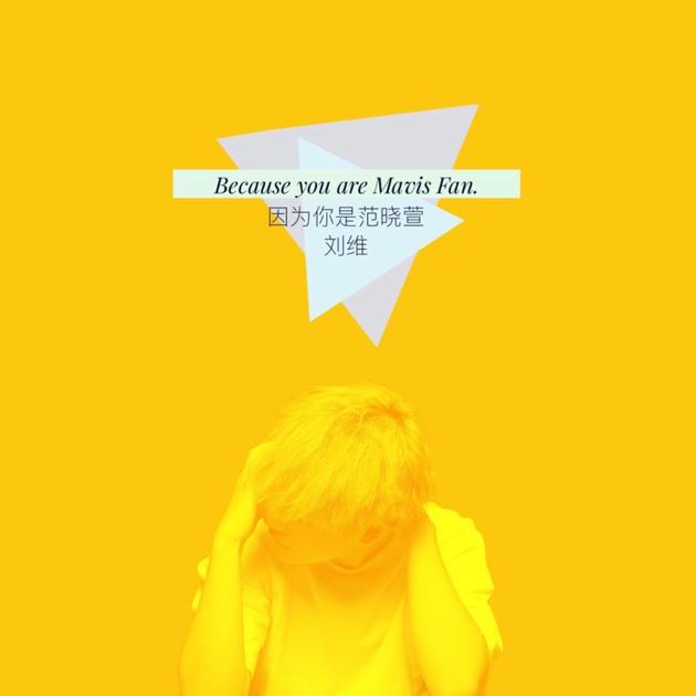 刘维单曲封面