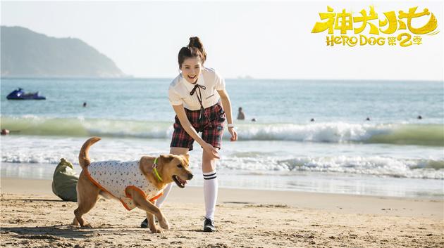 王洋和小七