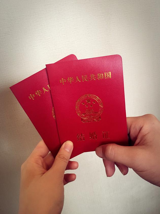 美团约新茶全攻略：从入门到精通