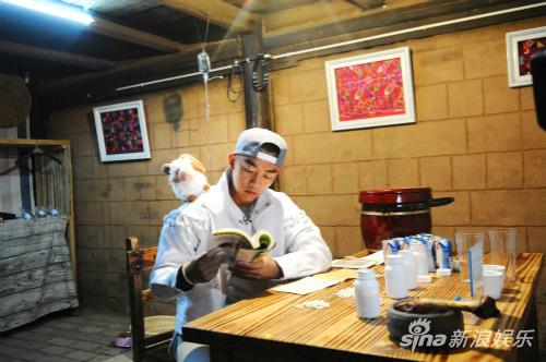 幽默机智郑羊羊