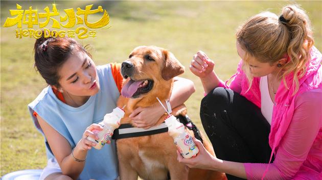 王洋、小七和伊莉莎