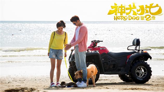 王洋、张云龙、小七和阿旺