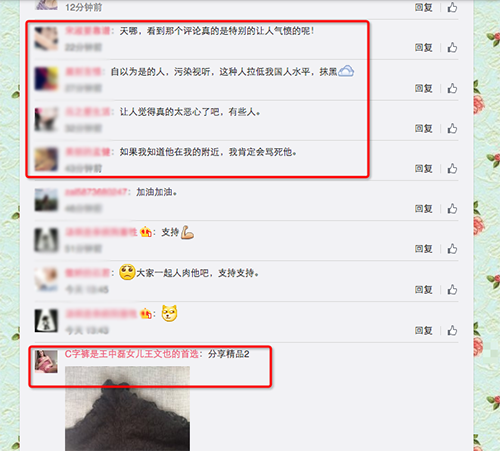 王文也微博被无良网友恶意刷屏